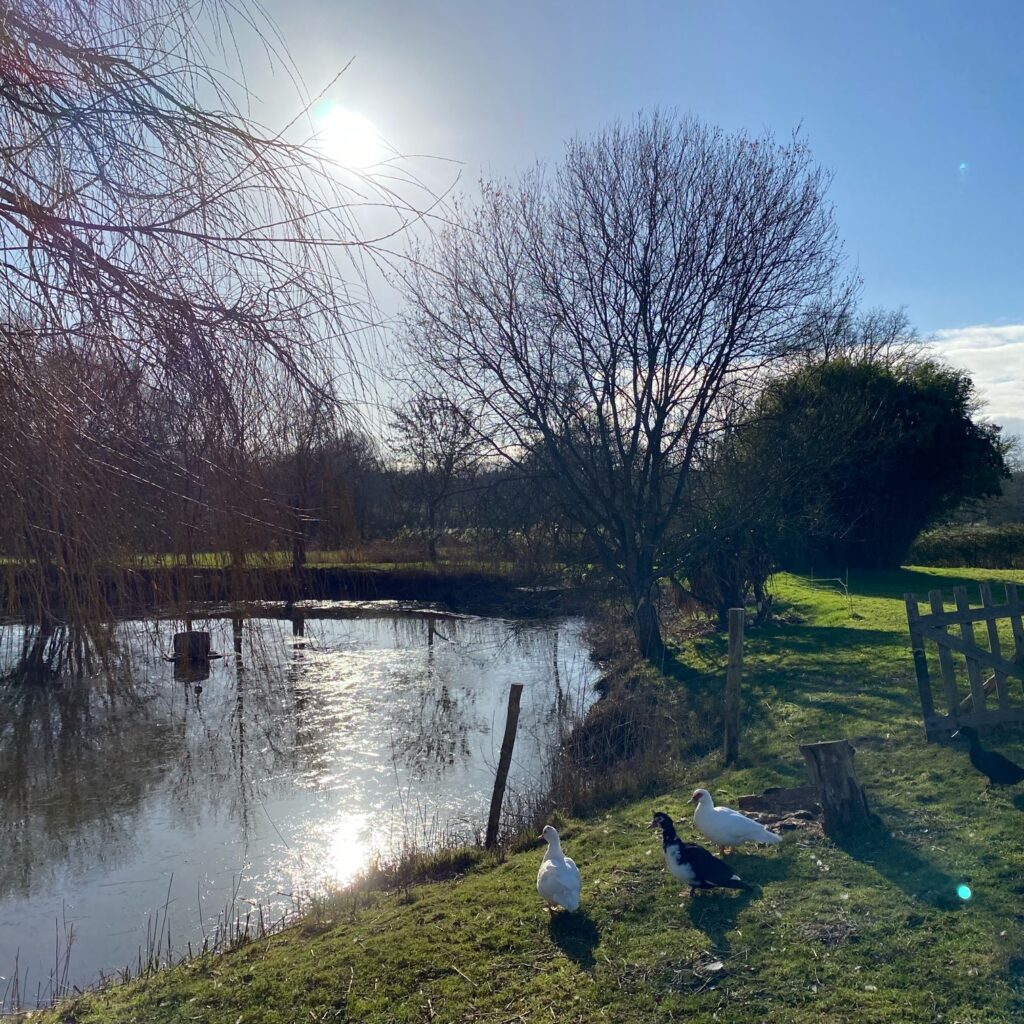 ブルターニュの田園風景