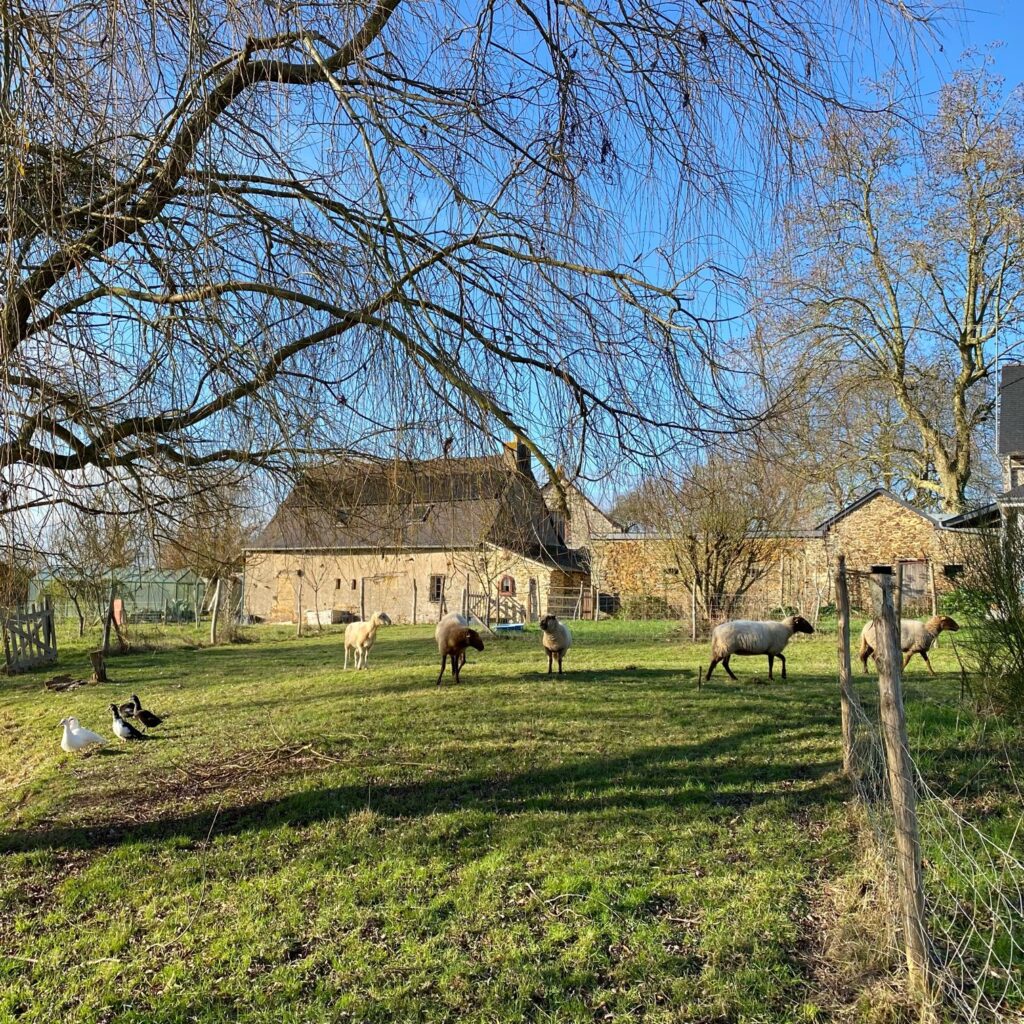 ブルターニュの田園風景